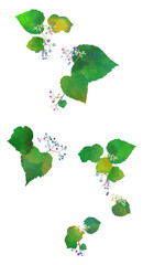 ノブドウのイラスト素材　アレンジ自由自在　ベクター