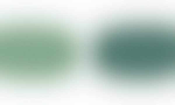 Soft muted green color shades converge in the center, with subtle line accents on transparent background