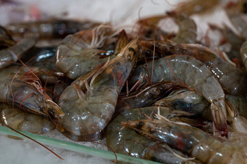 fresh  tiger prawns on crushed ice