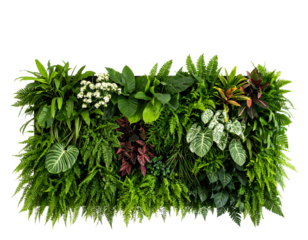Green vertical garden arrangement with transparent background