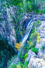 Minyon falls lookout in Byron Bay, Australia