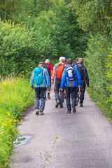 Fototapeta premium Group of men walking on a road in a forest