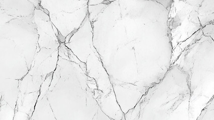 Marble granite white panorama background wall surface black pattern, light elegant gray for do floor ceramic counter texture stone slab smooth tile silver natural for interior decoration.
