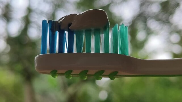 Organic natural herbal antibacterial medicine toothpaste on bristles of a plastic toothbrush. Extreme closeup side view. Mouth disinfection, dental health and everyday oral hygiene concept.