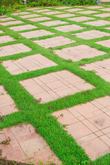 Walkway pathway s curve in public park,Lawn with curved paved garden path,Garden landscape design in flower garden,Selective focus,copy space.