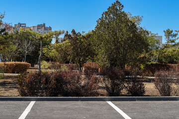 Parking lot with trees. Empty parking lot with trees and blue sky. Great for urban, transport, and city design.