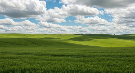 Fototapeta premium Breathtaking green fields under a vibrant blue sky with fluffy clouds, perfect for conveying peace, growth, and the beauty of nature's bounty