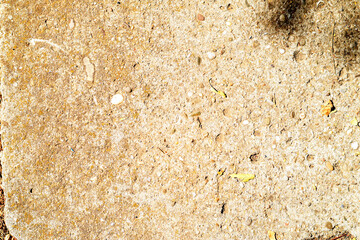Sand texture close-up background. Macro close-up of sand surface with natural grainy texture, organic outdoor background.