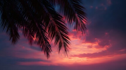 Silhouette of palm leaves against a vibrant sunset sky with colorful clouds