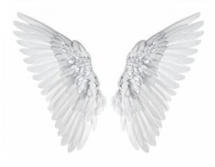 Pair of white angel wings against a white background