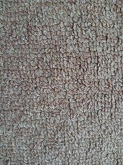 Close-up texture of a brown woven carpet or rug with looped fibers. Detailed fabric background showing rough textile surface for interior design, home decoration, or material pattern concept.