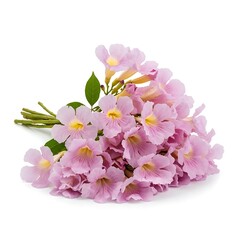 Beautiful Pink Flowers Bouquet.