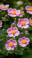 Beautiful Pink Flowers in Garden.