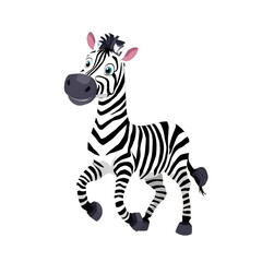 zebra vector illustration