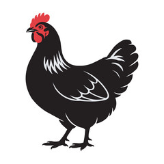 Black Hen Vector Illustration – Farm Chicken with Red Comb and Detailed Feathers
