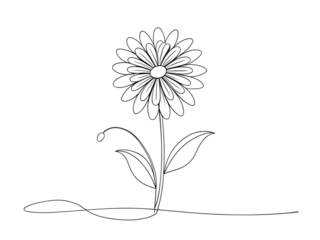 Simple one line drawing of a daisy flower with stem and leaves, isolated on transparent background minimalist art