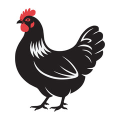 Black Hen Vector Illustration – Farm Chicken with Red Comb and Detailed Feathers