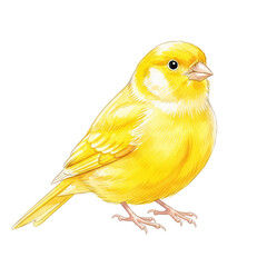 Obraz premium Canary in Yellow
