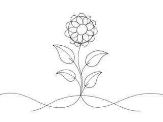 Simple flower drawing isolated on transparent background, perfect for coloring book or line art design