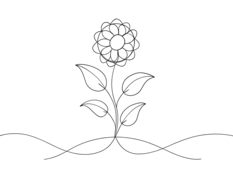 Simple flower drawing isolated on transparent background, perfect for coloring book or line art design