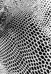 Textured Real Snake Skin Snakeskin Animal Print Transparent Overlay Background