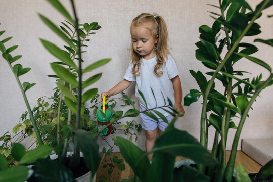 Toddler child watering houseplants with small can at home