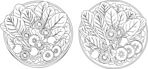 Two Line Art Illustrations of Fresh Salads in Bowls for Coloring
