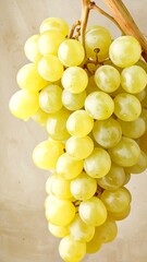 Close-up bunch of yellow grapes