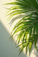 Overlapping palm fronds, sunlight dappled shadows, muted tones, muted, detail, botanical
