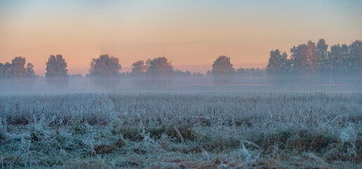 the first frost at dawn in early autumn