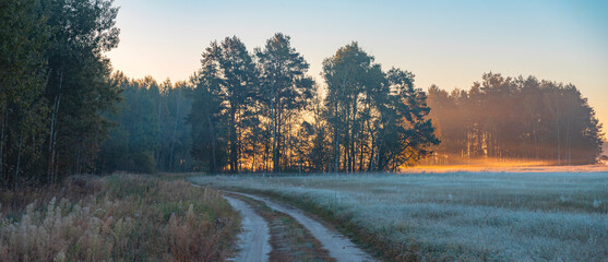 the first frost at dawn in early autumn
