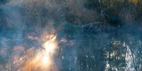 Autumn park by the river with fog.