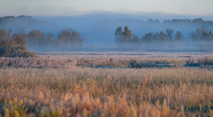 the first frost and fog at dawn in early autumn.