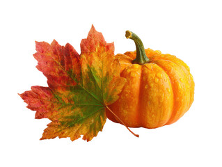 Bright orange pumpkin with autumn leaves for fall decoration on a transparent background, cut out
