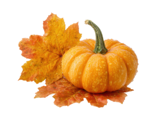Autumn pumpkin with vibrant leaves for seasonal decorations on a transparent background, cut out