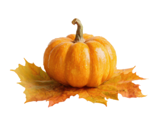 Vibrant pumpkin resting on colorful autumn leaves for seasonal decor on a transparent background, cut out