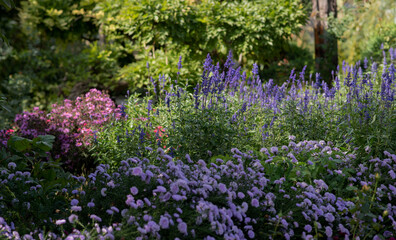 Obraz premium Blooming garden with vibrant purple, pink, and blue flowers surrounded by lush green foliage under soft natural sunlight, creating a serene and colorful landscape.