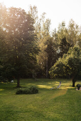 beautiful landscape with a farmyard at a summer sunset shining through the tree branches and featuring a lounge chair.
