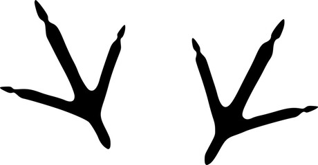 two black bird footprints on a white background