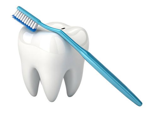 Tooth with toothbrush isolated on white or transparent background