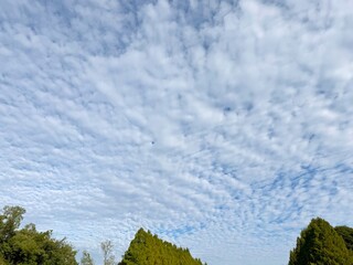空と雲