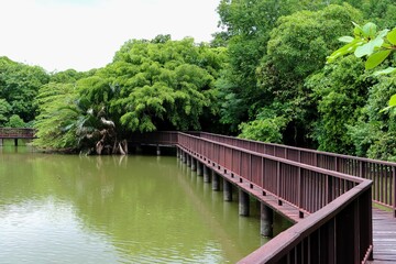 Fototapeta premium Pond wooden bridge in a park