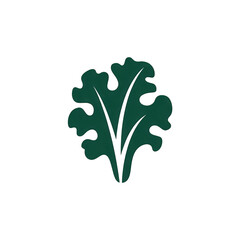 Dark green kale leaf on transparent background