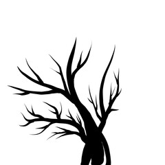 tree leaf season