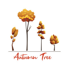 Illustration of autumn tree with leaves