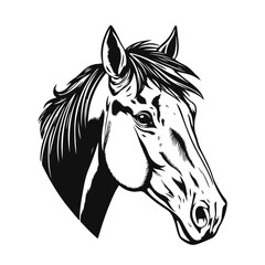 Horse head illustration, animal portrait drawing, farm animal art, wild horse face, horse head sketch