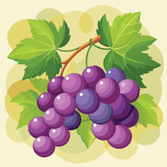 A bunch of purple grapes on a vine