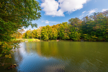 Autumn colorful foliage over lake with beautiful woods in red and yellow color. Bakony Forest and Mountain, Pisztrangos Lake, Hungary