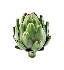 Fototapeta premium Fresh green artichoke vegetable isolated on transparent background close up