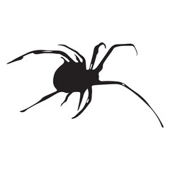 Halloween Spider Icon